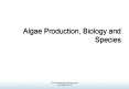 Algae Production, Biology and Species Biology Microalga