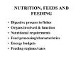 NUTRITION, FEEDS AND FEEDING Digestive process in fishe