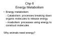 Chp 6 Energy Metabolism Energy metabolism: - Catabolis