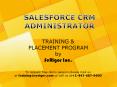 Salesforce CRM Training and Placement Program