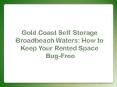 Self storage Gold Coast | Gold Coast Self Storage Broadbeach Waters: How to Keep Your Rented Space Bug-Free
