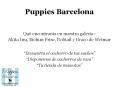 Puppies Bcn: imágenes 1
