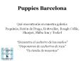 Puppies Bcn: imágenes 4