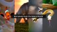 Best Photos from The Natural World