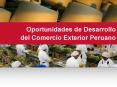 Oportunidades de Desarrollo del Comercio Exterior Peruan