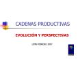 CADENAS PRODUCTIVAS EVOLUCI N Y PERSPECTIVAS LIMA FEBRER