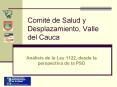Comit  de Salud y Desplazamiento, Valle del Cauca An lisi