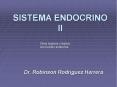 SISTEMA ENDOCRINO II Otros  rganos y tejidos con funci 