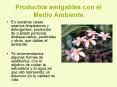 Productos amigables con el Medio Ambiente En nuestras casa