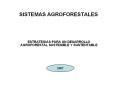 SISTEMAS AGROFORESTALES ESTRATEGIAS PARA UN DESARROLL