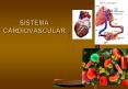 SISTEMA CARDIOVASCULAR CIRCULACIONES ESPECIALES Circulaci 