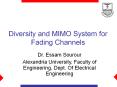 Diversity and MIMO System for Fading Channels Dr. Essa