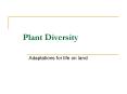 Plant Diversity Adaptations for life on land Adaptations fo