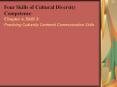 Four Skills of Cultural Diversity Competence Chapter 4