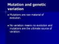 Mutation and genetic variation Mutations are raw material o