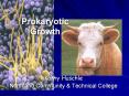 Prokaryotic Growth Kathy Huschle Northland Community 