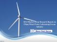 2013 Market Deep Research Report on China Wind Power Lubricating Grease Industry