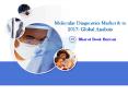 Molecular Diagnostics Market & to 2017: Global Analysis