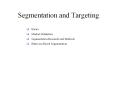 Segmentation and Targeting Basics Market Definitio