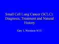 Small Cell Lung Cancer (SCLC): Diagnosis, Treatment an