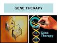GENE THERAPY Diseases for applying gene therapy Gene therap