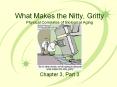 What Makes the Nitty, Gritty Physical Correlates o