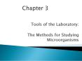 Tools of the Laboratory: The Methods for Studyin