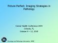 Picture Perfect: Imaging Strategies in Pathology Cerne