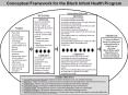 Conceptual Framework for the Black Infant Health Progra