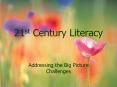 21st Century Literacy Addressing the Big Picture Challenge