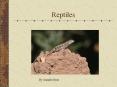 All of the  reptiles  that lay eggs bury them or place the
