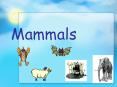 ... for this is the time which mammals rapidly started t