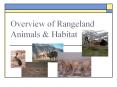 Overview of Rangeland Animals & Habitat Presentation (.ppt