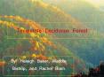 Temperate Deciduous Forest By: Haleigh Baker, Maddie Bishop