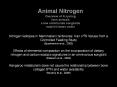 Animal Nitrogen Overview of N cycling farm animals a fe