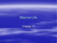 Marine Life Chapter 15 I. Monera bacteria that ca