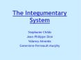 The Integumentary System Stephanie Childs Jean-Philippe Dio
