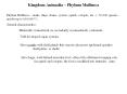Kingdom Animalia   Phylum Mullusca Phylum Mullusca   snails