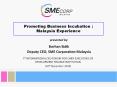 Promoting Business Incubation : Malaysia Experienc