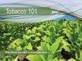 Social Smoking Module 6 Tobacco 101: Module 6 * Socia