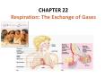 CHAPTER 22 Respiration: The Exchange of Gases MECHANISMS O