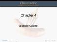 Sausage Casings Topics Covered Natural casings Synthetic o