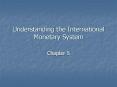 Understanding the International Monetary System Chapter 
