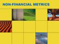 non-financial metrics  non-financial performance measure