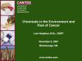 Chemicals in the Environment and Risk of Cancer Loi