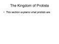 The Kingdom of Protista This section explains what protist
