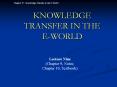 KNOWLEDGE TRANSFER IN THE E-WORLD Lecture Nine (Chapter 9