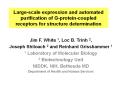 Large-scale expression and automated purification o