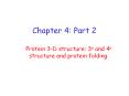 Chapter 4: Part 2 Protein 3-D structure: 3o and 4o structur