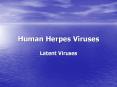 Human Herpes Viruses Latent Viruses Introduction Herpe